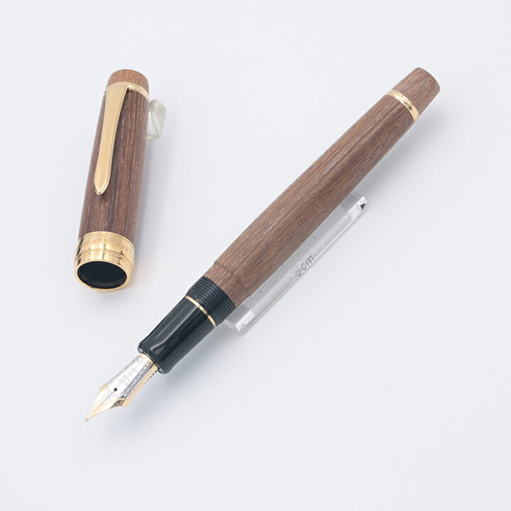 楽天市場】PILOT パイロット 万年筆 カスタム 槐-えんじゅ- 中字【中古 