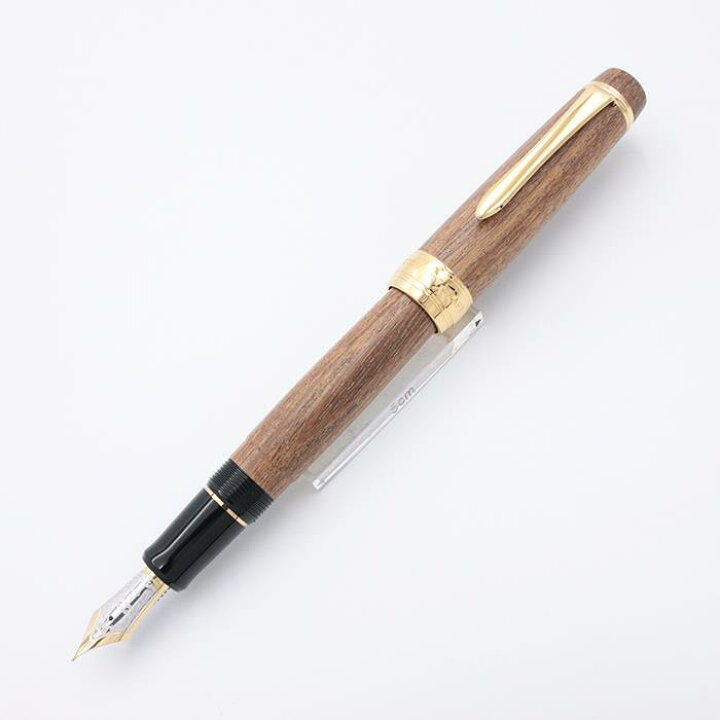 楽天市場】PILOT パイロット 万年筆 カスタム 槐-えんじゅ- 細字【中古 