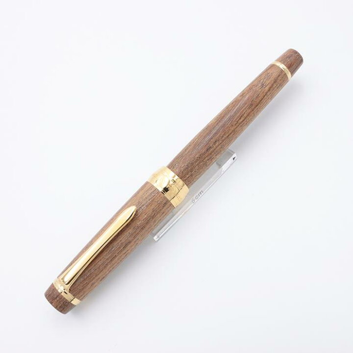 楽天市場】PILOT パイロット 万年筆 カスタム 槐-えんじゅ- 細字【中古 