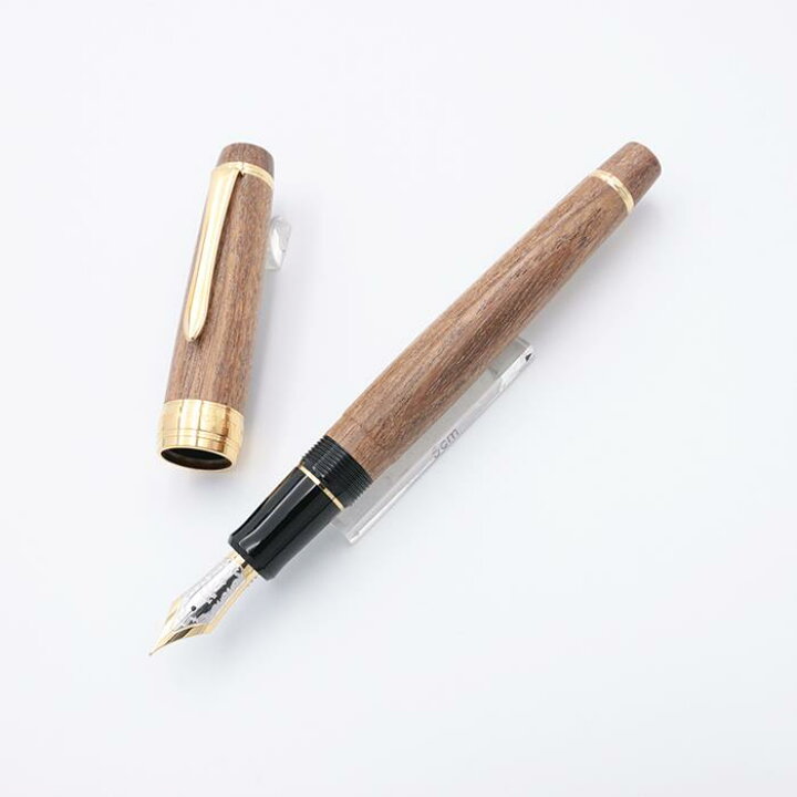 楽天市場】PILOT パイロット 万年筆 カスタム 槐-えんじゅ- 細字【中古  