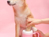 送料無料 ペット犬 猫 足洗い 犬足ブラシ 猫 足洗いカップ 足洗いボトル 足 クリーナー 半自動式 小型 中…