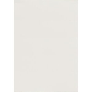 LOR[|[V A4h}CN~V 700CoC 10ʕt 550  210×297mm(ؐ@:91×55mm) 209001