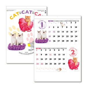 2026N Ǌ|J_[ CATECATECAT B3 535×380mm KC30128J_[ 2026 Ǌ| XPW[ LOR[|[V   ˂ L lR 킢 