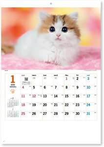 yyjz2026N Ǌ|J_[ TL[ELbg NK455 373×254mmJ_[ 2026 Ǌ| XPW[  L lR  킢