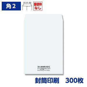 p`2 Pg 100g 300 240×332mm 010306-300N