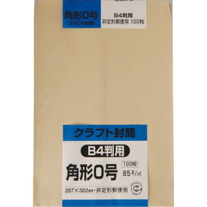 LOR[|[V p`0 100 Ntg(IpX) 85g X֘gȂ Z^[\  287×382mm K0K85