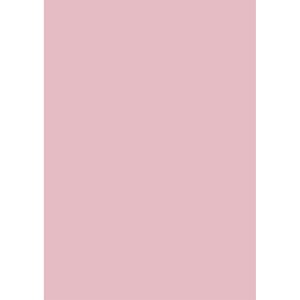 N[tHe[k | Pollen A4y[p[ ւ 50 120g 210×297mm bZ[WJ[h O[eBOJ[h n J[ ^[Zbg ^[ l  Vv 킢 
