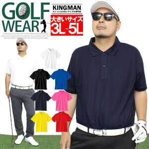 y[ւőz傫TCY  StEFA |Vc Y hC bV z n {^_E Vc gbvX Vv St StEFA {^_E