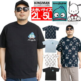 【メール便で送料無料】 サンリオ 半袖 Tシャツ 大きいサイズ ポチャッコ ハンギョドン キャラクター プリント クルーネック カットソー キャラクター アニメ グッズ 半魚人 かわいい トップス プリントTシャツ ユニセックス ワークマン プラス