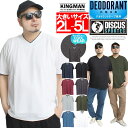 【メール便で送料無料】DISCUS(ディスカス) 半袖 Tシャツ メンズ 大きいサイズ Vネック 無地 ドライ ワッフル 吸汗速乾 消臭 抗菌 カットソー 半袖Tシャツ 白 黒 吸水速乾 速乾 ゆったり シャツ 部屋着 スポーツ パジャマ ワークマン プラス