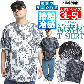 メール便で送料無料 半袖 Tシャツ メンズ 大きいサイズ 接触冷感 薄手 吸水速乾 ワッフル ペイズリー柄 プリント ストレッチ クルーネック カットソー 涼しい ひんやり 涼感 イージーケア バンダナ柄 機能性 トップス サマー ストリート系 スワークマン プラス サイズ