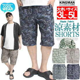 メール便で送料無料 ショートパンツ メンズ 大きいサイズ 吸汗速乾 ドライ ライトリップル素材 総柄 プリント ハーフパンツ ショーツ 半パン 短パン ボタニカル 涼しい 涼感 イージーパンツ ウエストゴム紐付き ストリート系 ワークマン プラス サイズ