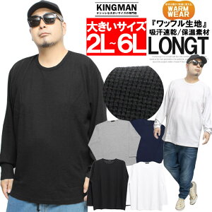  TVc Y 傫TCY btf n N[lbN Jbg\[ TVc T nTVc LC gbvX Xg[gn [N} vX TCY