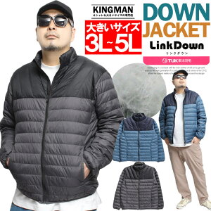 _EWPbg Y 傫TCY H iC WbvAbv X^h u] Cg_E AE^[ h g y ۉ  A_E AEghA [N} v