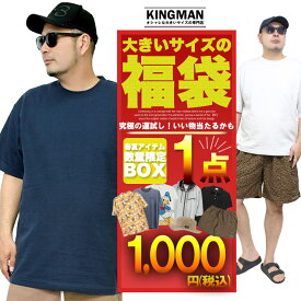 数量限定 【1点1000円】「真夏の最強福袋」 メンズ 大きいサイズ M～5L 対応 まで 2026 サマー福袋 高コスパ Tシャツ 半袖 薄手 涼しい 通気性 速乾 UV対策 カジュアル スポーツ ゴルフ ブランド セット コーデセット【返品交換不可】ワークマン