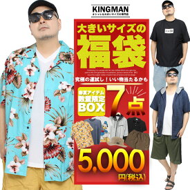 数量限定 【7点5000円】「真夏の最強福袋」 メンズ 大きいサイズ M～5L 対応 まで 2026 サマー福袋 高コスパ Tシャツ 半袖 薄手 涼しい 通気性 速乾 UV対策 カジュアル スポーツ ゴルフ ブランド セット コーデセット【返品交換不可】ワークマン
