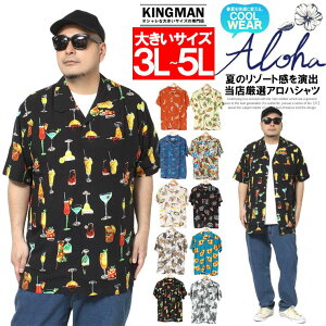 [ւő AnVc Y 傫TCY Vc [ {^jJ ԕ  Vc   nCrXJX T[t nC ][g  a LC  [N} v