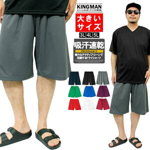 [ւő V[gpc Y 傫TCY z hCpc hC bV UVJbg n W[W n[tpc TCY X|[c Zp z   