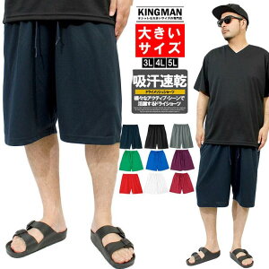 y[ւőz V[gpc Y 傫TCY z hCpc hC bV UVJbg n W[W n[tpc TCY X|[c Zp z  