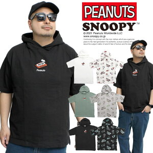  PEANUTS(s[ibc)  p[J[ Y SNOOPY Xk[s[ h?  vg TVc Jbg\[ LN^[ Aj ObY 킢 gbvX vgTVc jZbNX f