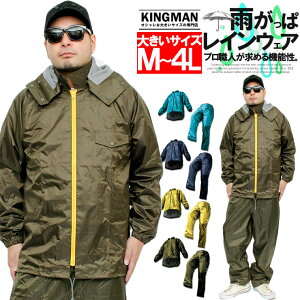 Z[ CR[g Y 傫TCY St グ߉\ h  Jbp ZbgAbv ㉺ ϋv CX[c Cpc J oR oCN ʊw ʋ H グ ҉ y