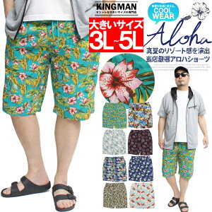 [ւő An V[gpc Y 傫TCY  [  EGXgS G n[tpc ԕ {^jJ V[c Zp  [EFA ڐG⊴ 