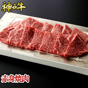 _ˋ Ԑgē 300g~1kg    јa _ˋ ؖt Mtg  Ε ̓ ̓ j a j hV̓ _˃LO~[g
