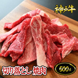 _ˋ؂藎ƂēZbg 500gi3`4lO)    јa _ˋ ؖt Mtg  Ε ̓ ̓ j a j hV̓ BBQ _˃LO~[g