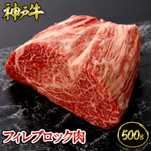 _ˋ tBubN 500g    јa _ˋ ؖt Mtg  Ε ̓ ̓ j a j hV̓ _˃LO~[g