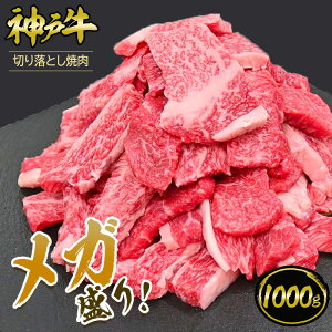 yʌ!10%OFF!9/4 20:00`9/11 1:59zyKz_ˋ ؂藎ƂēZbg 1kgi500gx2pbNjBBQZbg o[xL[Zbg eʁ   јa _ˋ A5 ؖt Mtg 