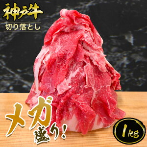 yKz_ˋ ؂藎Ƃ 1kgi500g×2pbN) e 1kgȏた   јa _ˋ A5 ؖt Mtg  Ε ̓ ̓ j a j hV̓ _˃LO~[