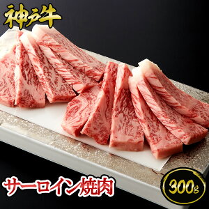 _ˋ T[Cē 300g~500g   јa _ˋ ؖt Mtg  Ε ̓ ̓ j a j hV̓ _˃LO~[g