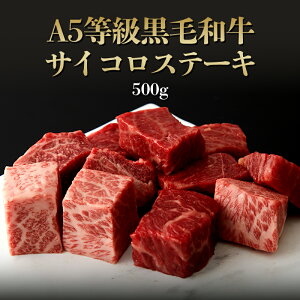 A5јaTCRXe[L500gi2`4lO)    јa A5 Mtg  Ε ̓ ̓ j a j _˃LO~[g