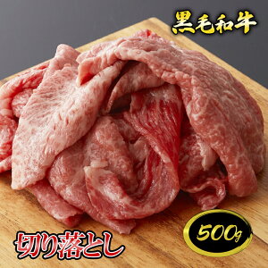 �y�|�C���g10�{!!�z���јa�� �؂藎�Ƃ� 500g�` �� ���� ���� ���јa�� �M�t�g ������ ���Ε� ���̓� ��̓� ���j �a���� �����j �h�V�̓� �_�˃L���O�~�[�g