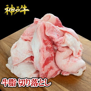 _ˋ  ؂藎Ƃ 500g    јa _ˋ ؖt Mtg  Ε ̓ ̓ j a j hV̓ _˃LO~[g