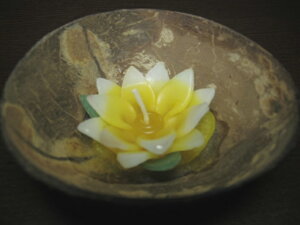 A}Lh[^XijRRibcMt@LEC@Lhx[X/ Lhz_[/ LhX^h/ Lh/ Lhpi /CeA/ / fUC /