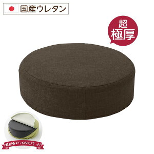 ���Ɍ� �{�����[���N�b�V����/���r���O�G�� �y���E���h�^�C�v �u���E���z ����16cm �ᔽ�� �E�����J�o�[�t�� ���Y�E���^���g�p �V���v�� �_���A���f�� �wPastel�x�y����s�z