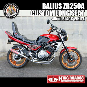 JTL oIX1^ ZR250A ubN pCsOzCg Gi OiV[g 3iV[g 40cm