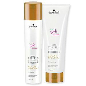 y12/1 SiP2`20{zVcRt BC J[XyVtB[N 250ml+250g Zbg y2025/12/01 0:00`2025/12/01 23:59zy_tf[z