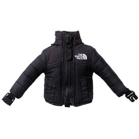 ノースフェイス キーホルダー ミニヌプシジャケット 送料無料 THE NORTH FACE Mini Nuptse Jacket キーチェーン キーケース アウトドア ストリート ユニセックス メンズ レディース プレゼント 全4色 ワンサイズ NN32242