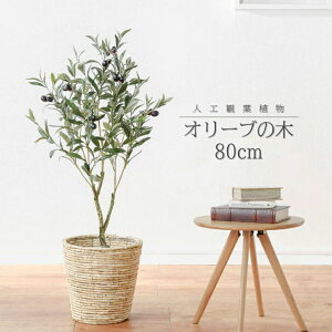 玄関 オリーブ 鉢の人気商品 通販 価格比較 価格 Com 玄関 オリーブ 鉢の人気商品 通販 価格比較 価格 Com