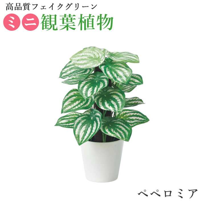 楽天市場 人工 観葉植物 卓上 ミニ ポット モンステラ ポトス ペペロミア フィロ 実用的 鉢 癒しボックス インテリア フェイク グリーン 造花 枯れない 衛生的 雑貨 かっこいい プレゼント ギフト おしゃれ キングセレクション 楽天市場 人工 観葉植物 卓上 ミニ ポット モンステラ ポトス ペペロミア フィロ 実用的 鉢 癒しボックス インテリア フェイク グリーン 造花 枯れない 衛生的 雑貨 かっこいい プレゼント ギフト おしゃれ キングセレクション