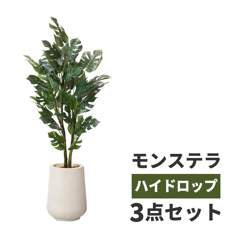 エッセンシャルコンフォート 枯れない観葉植物3点セット 植物/観葉植物