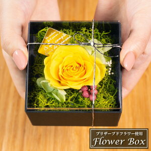 誕生日 花 一輪 プリザーブドフラワーの人気商品 通販 価格比較 価格 Com