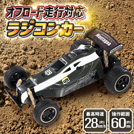 ラジコン ラジコンカー 子供 オフロード 本格的 大人 速い 完成品 操作簡単 カー RCカー クルマ 車 バギー パワフル 子ども 男の子 女の子 ホイラータイプ リモコン 2.4GHz 趣味 コレクション おもちゃ ホビー 誕生日 孫 プレゼント ギフト かっこいい おしゃれ