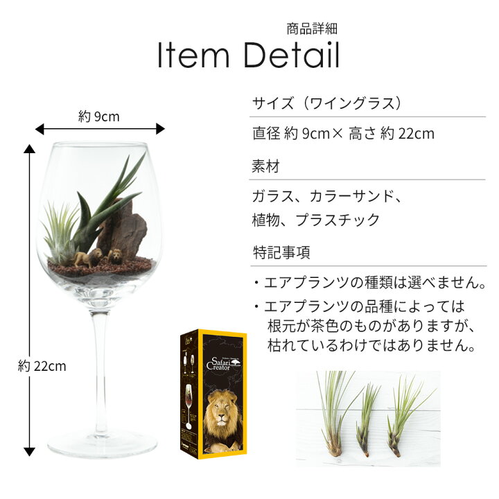 楽天市場 エアプランツ セット ジオラマ 植物 ワイングラス ウッドチップ カラーサンド 砂 ミニチュア 動物 アニマル ぞう ライオン パンダ インテリア 観葉植物 雑貨 ガーデニング 趣味 工作 初心者 簡単 手作り 癒し プレゼント ギフト おしゃれ かわいい キング