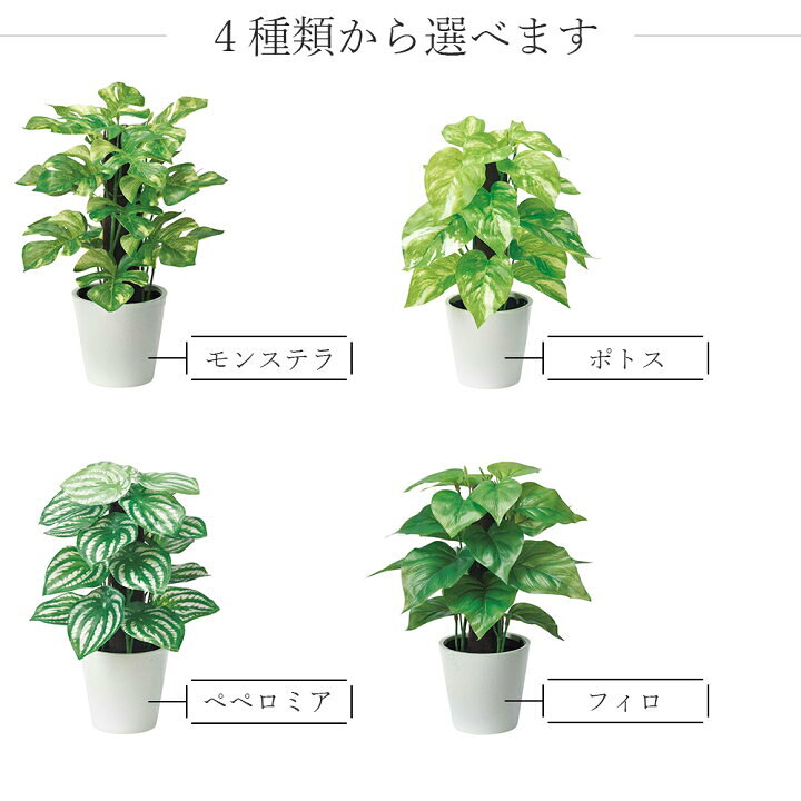 楽天市場 人工 観葉植物 卓上 ミニ ポット モンステラ ポトス ペペロミア フィロ 実用的 鉢 癒しボックス インテリア フェイク グリーン 造花 枯れない 衛生的 雑貨 かっこいい プレゼント ギフト おしゃれ キングセレクション 楽天市場 人工 観葉植物 卓上 ミニ ポット モンステラ ポトス ペペロミア フィロ 実用的 鉢 癒しボックス インテリア フェイク グリーン 造花 枯れない 衛生的 雑貨 かっこいい プレゼント ギフト おしゃれ キングセレクション