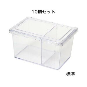 昆虫 飼育ケース 透明」の人気商品一覧・価格比較 - 価格.com