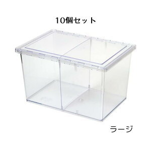 ���i�摜
