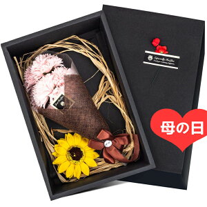 \[vt[ J[l[V@͂Ȃ  Ό TCg l j ̓ a o^C LO Nj ʉ 搶̓ 蕨    Mtg{bNX(